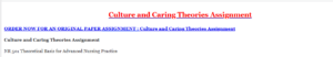 Culture and Caring Theories Assignment
