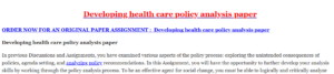 Developing health care policy analysis paper