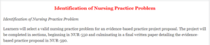 Identification of Nursing Practice Problem