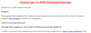 Choose one (1) MSN Program Outcome