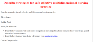 Describe strategies for safe effective multidimensional nursing practice