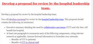 Develop a proposal for review by the hospital leadership team.