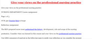 Give your views on the professional nursing practice