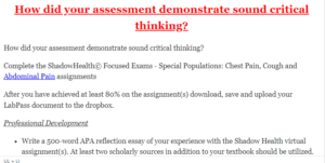 How did your assessment demonstrate sound critical thinking