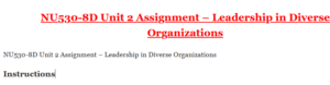 NU530-8D Unit 2 Assignment – Leadership in Diverse Organizations