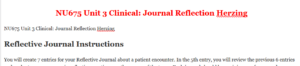 NU675 Unit 3 Clinical: Journal Reflection Herzing