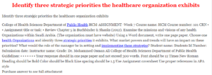 Identify three strategic priorities the healthcare organization exhibits