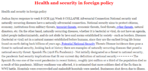 Health and security in foreign policy
